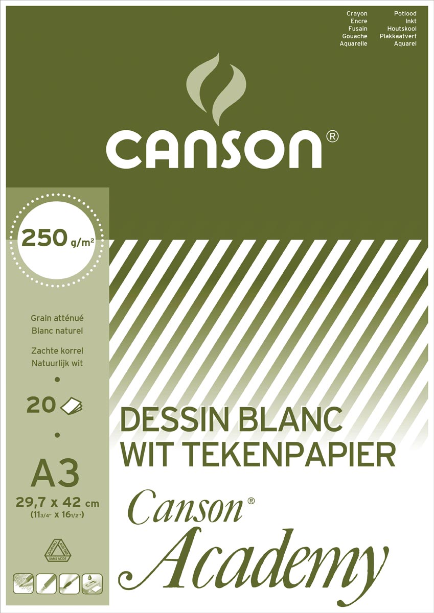 Canson tekenpapier Academy, 250 g, ft 29,7 x 42 cm, A3, blok van 20 vel afbeelding