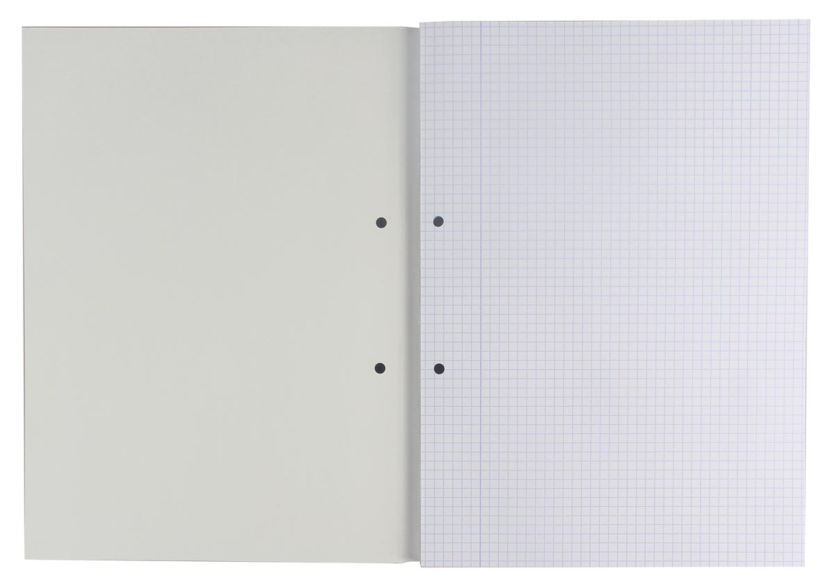 Gallery cursusblok, ft A4, 80 g/m², 2-gaatsperforatie, geruit 5 mm, 100 vel-2