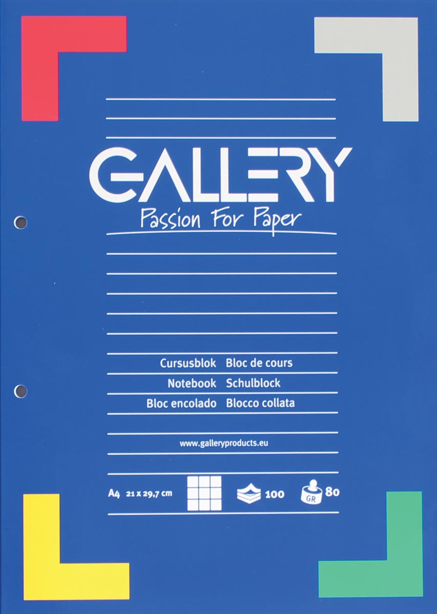 Gallery cursusblok, ft A4, 80 g/m², 2-gaatsperforatie, geruit 5 mm, 100 vel afbeelding