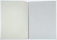 Gallery cursusblok, ft A4, 80 g/m², 2-gaatsperforatie, commercieel geruit, 100 vel-2