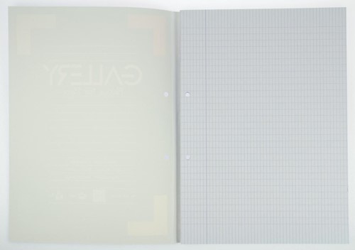 Gallery cursusblok, ft A4, 80 g/m², 2-gaatsperforatie, commercieel geruit, 100 vel-2