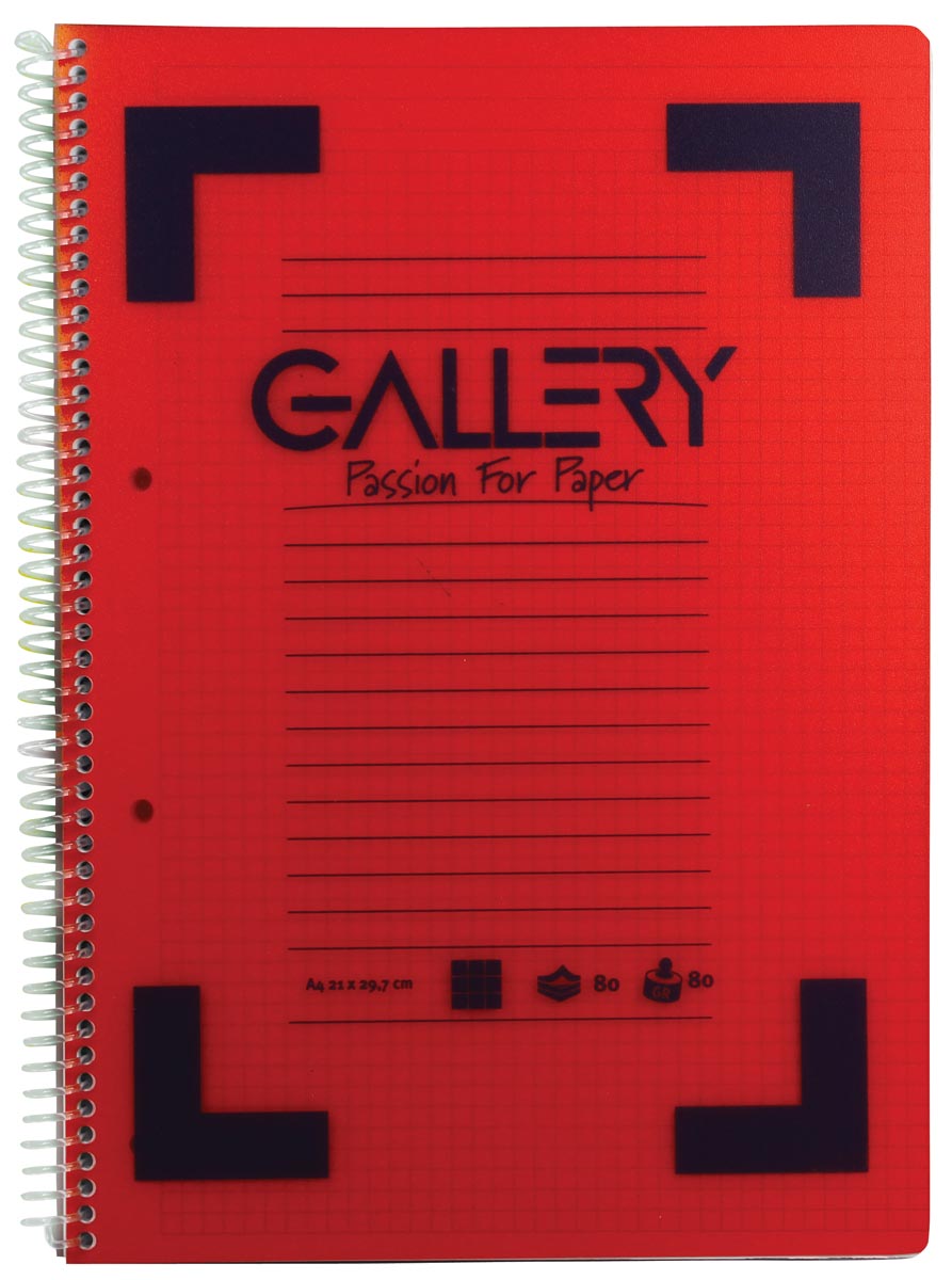 Clairefontaine 8572C Lot de 5 Cahiers à Spirale Studium