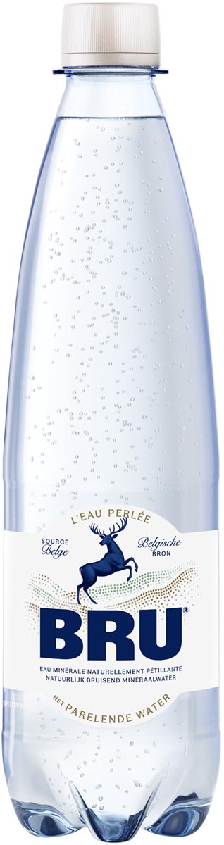 Bru lichtsprankelend water, fles van 50 cl, pak van 24 stuks