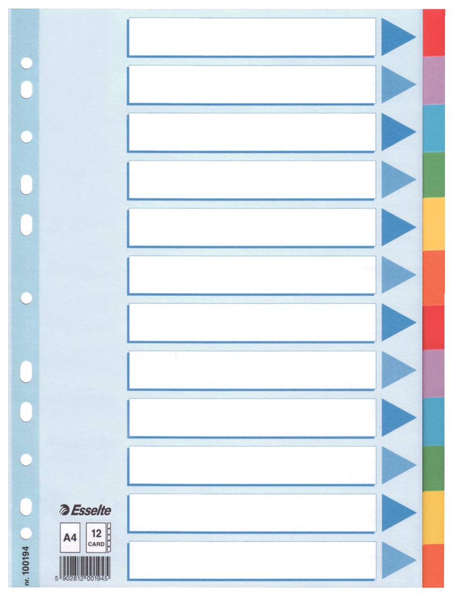 Esselte tabbladen 12 tabs afbeelding