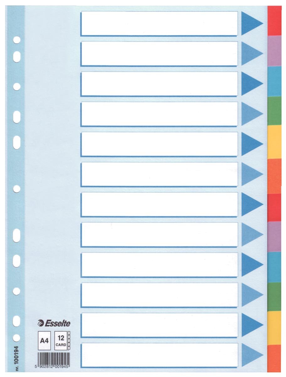 Esselte tabbladen 12 tabs