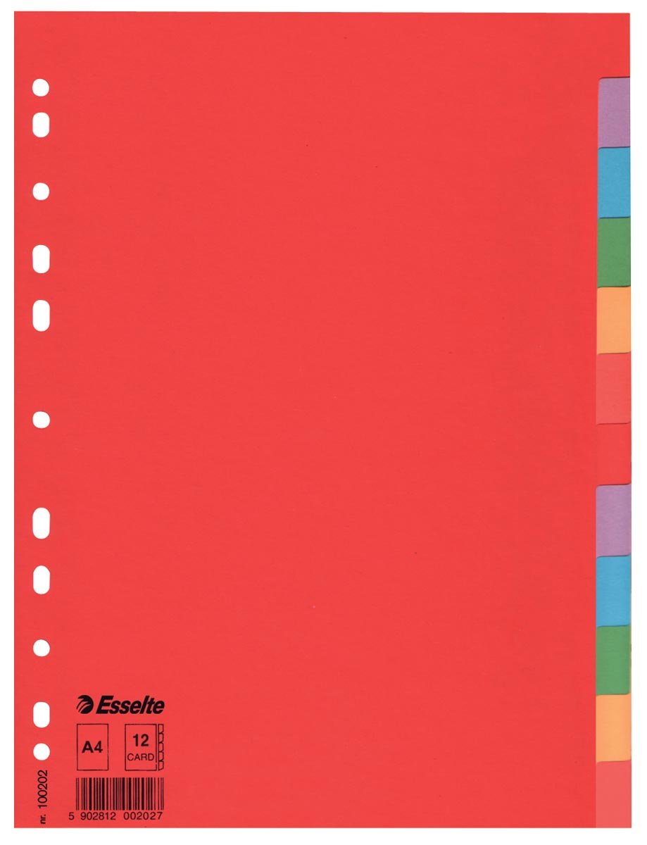 Esselte tabbladen Economy 12 tabs afbeelding