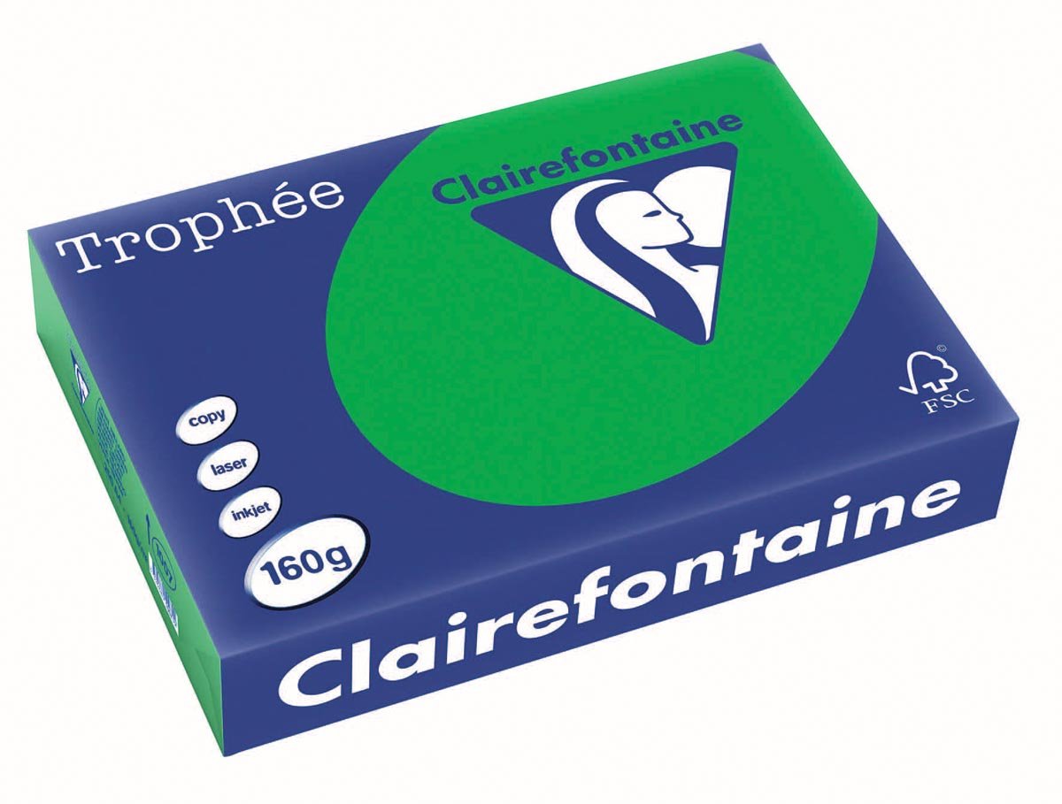 Clairefontaine Trophée Intens, gekleurd papier, A4, 160 g, 250 vel, bijartgroen afbeelding