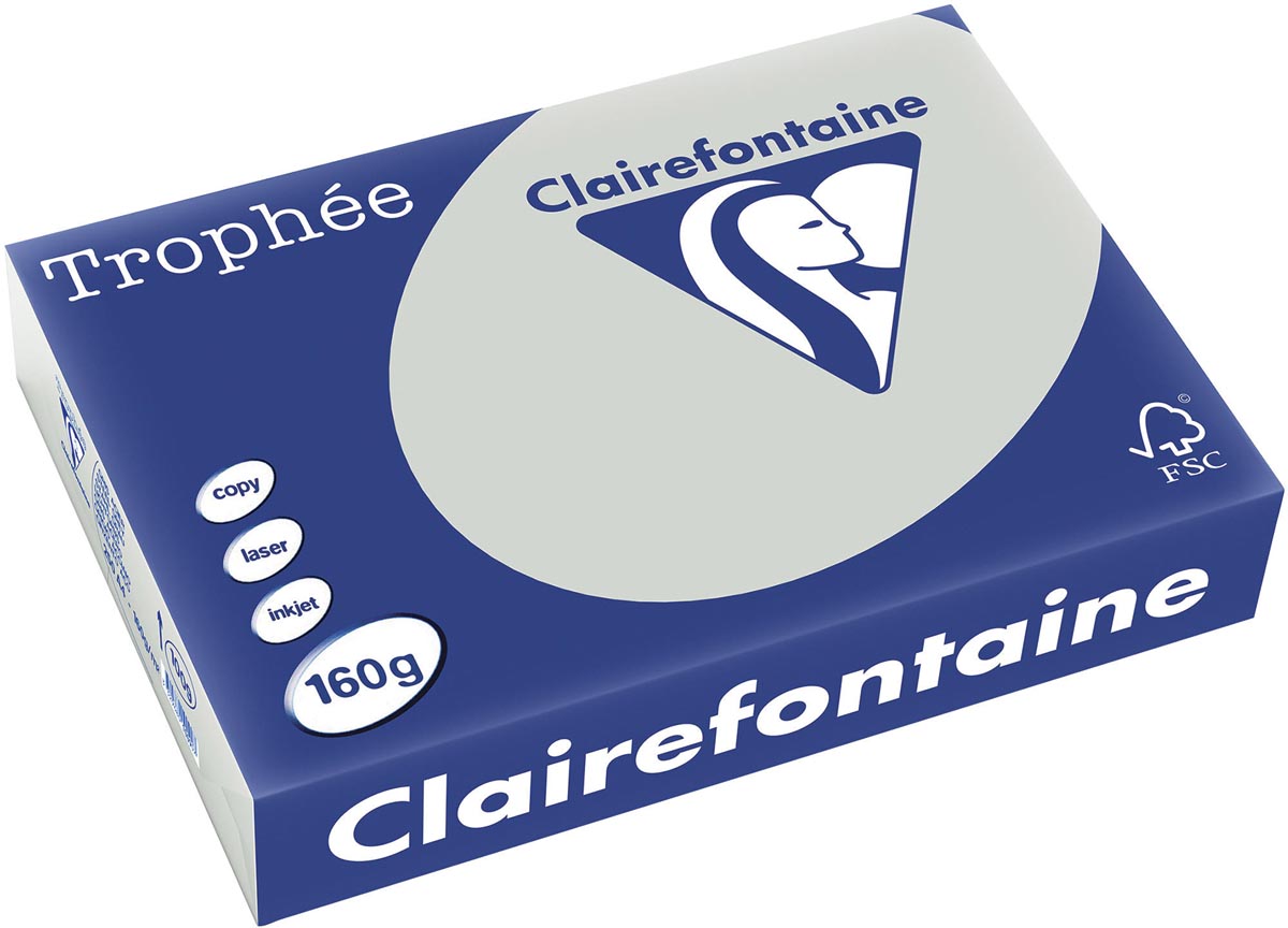 Clairefontaine Trophee Pastel, gekleurd papier, A4, 160 g, 250 vel, lichtgrijs