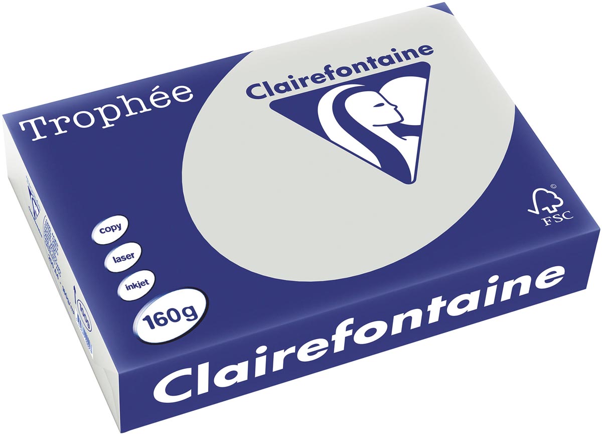 Clairefontaine Trophée Pastel, gekleurd papier, A4, 160 g, 250 vel, lichtgrijs afbeelding