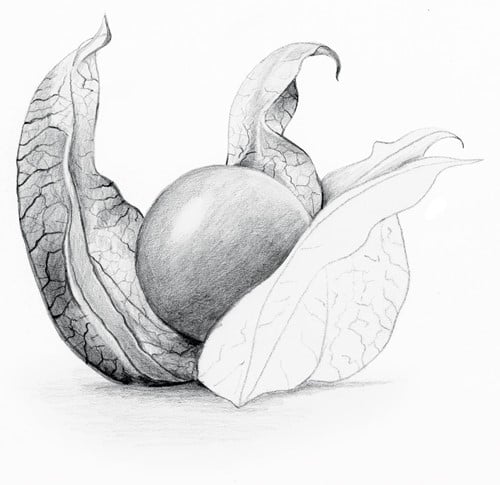 Staedtler Potlood Mars Lumograph 12 stuks: 6B-5B-4B-3B-2B-B-HB-F-H-2H-3H-4H-2