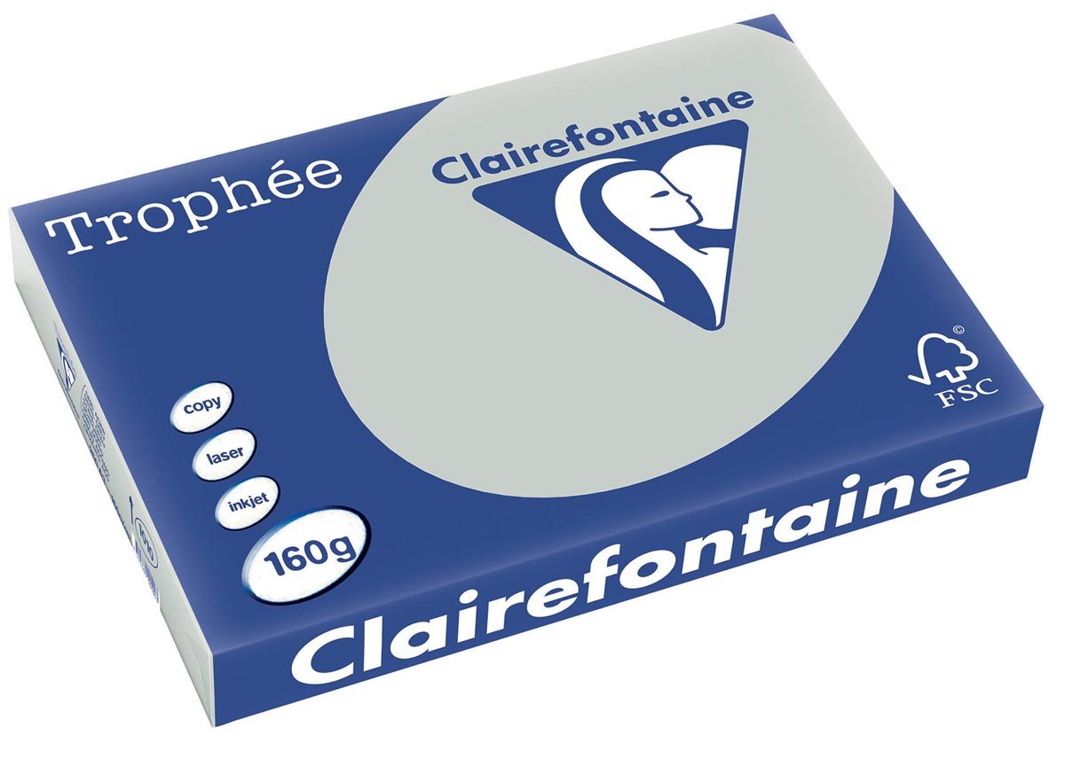 Clairefontaine Trophée Pastel, gekleurd papier, A3, 160 g, 250 vel, lichtgrijs afbeelding
