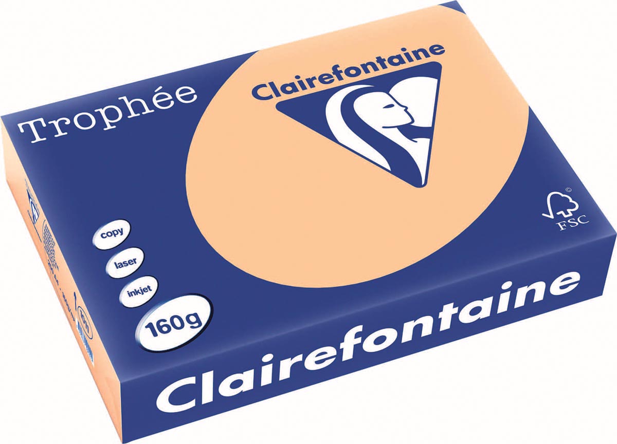 Clairefontaine Trophee Pastel A4 Abrikoos 160 G 250 Vel huismerk kopen in de aanbieding
