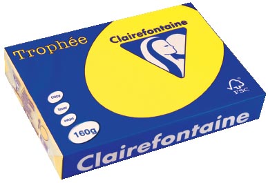 Clairefontaine Trophée Intens A4, 160 g, 250 vel, zonnegeel