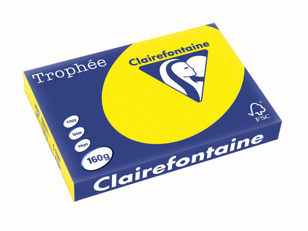 Clairefontaine Trophée Intens, gekleurd papier, A3, 160 g, 250 vel, zonnegeel afbeelding
