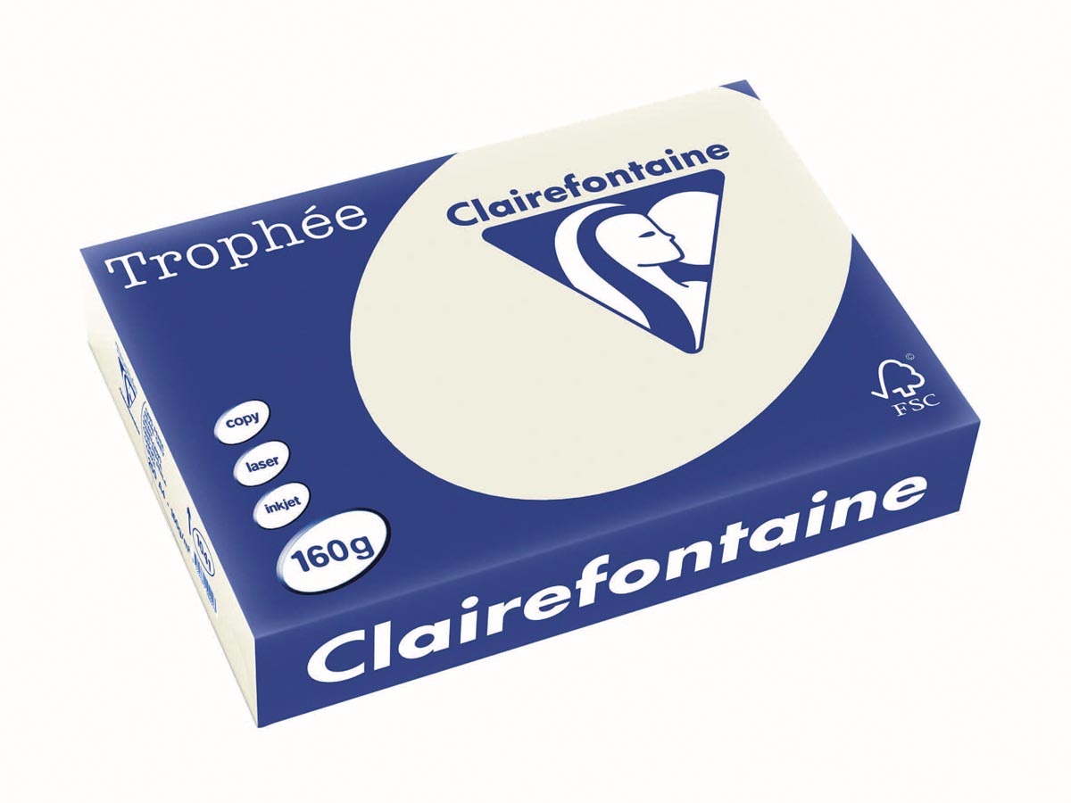Clairefontaine Trophée Pastel, gekleurd papier, A4, 160 g, 250 vel, parelgrijs afbeelding