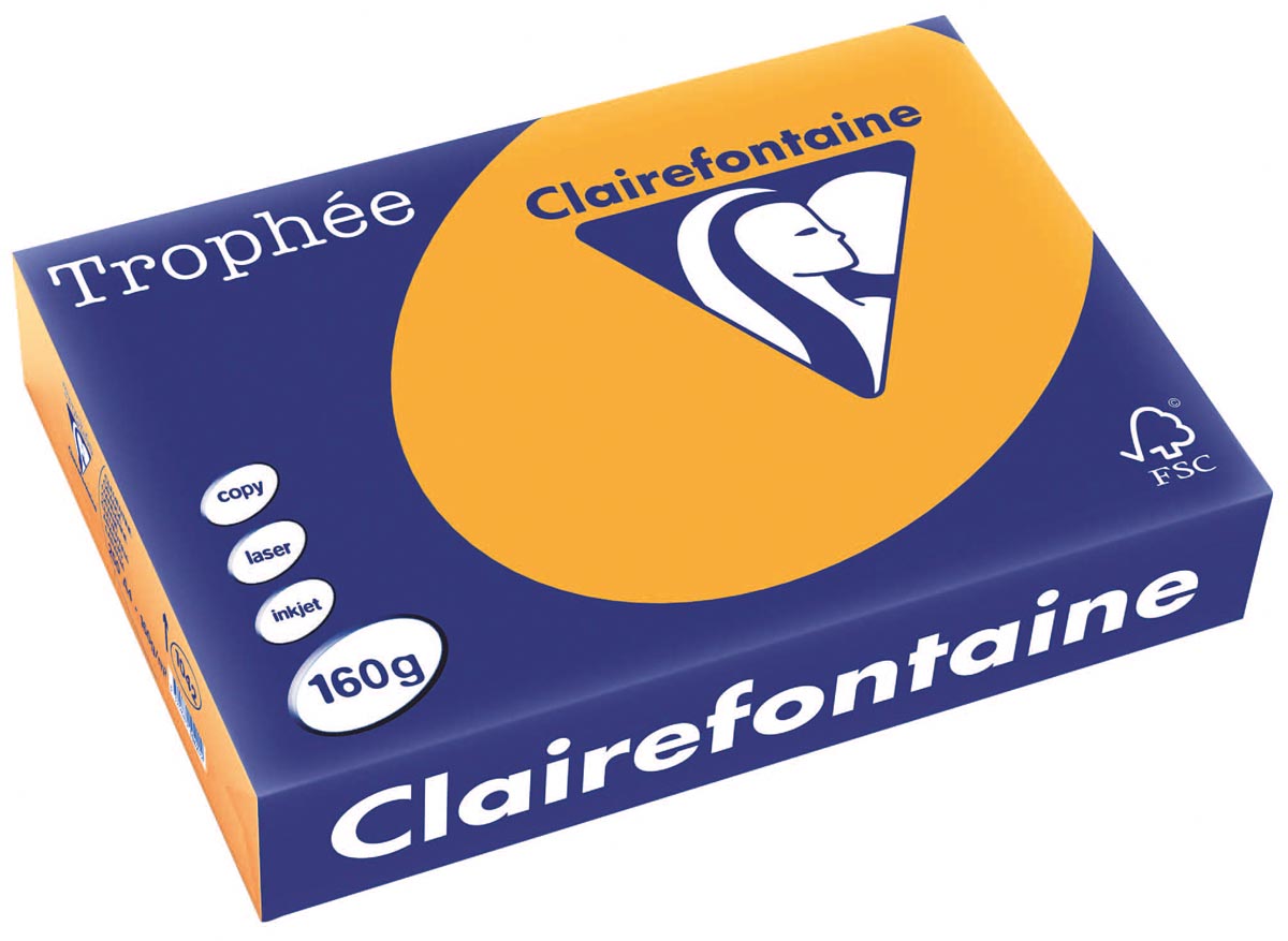 Clairefontaine Trophée Pastel, gekleurd papier, A4, 160 g, 250 vel, oranje afbeelding