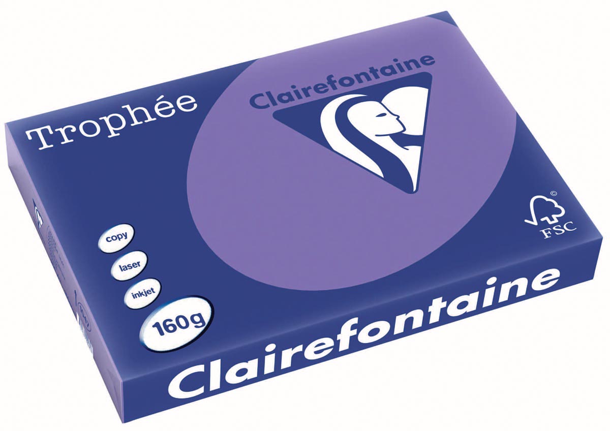 Clairefontaine Trophée Intens, gekleurd papier, A3, 160 g, 250 vel, violet afbeelding