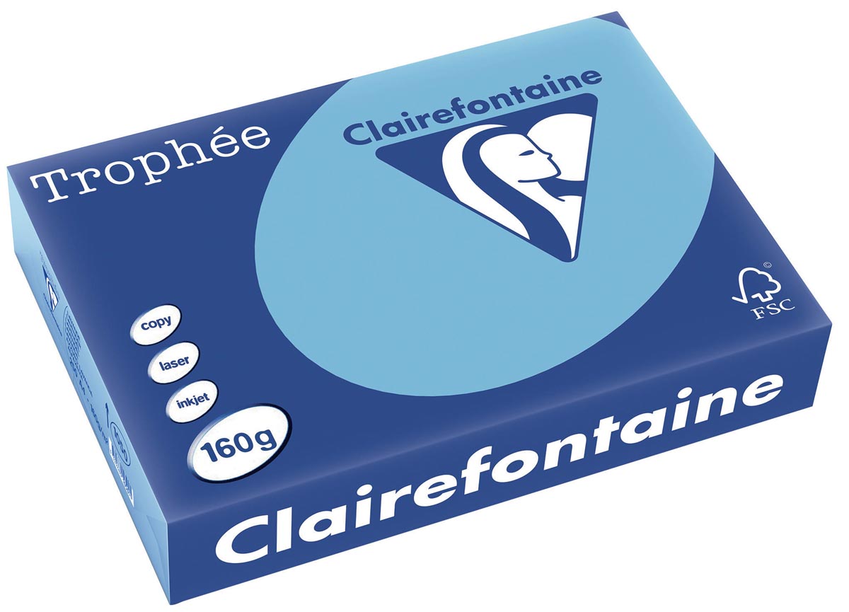 Clairefontaine Trophée Pastel, gekleurd papier, A4, 160 g, 250 vel, lavendelblauw afbeelding