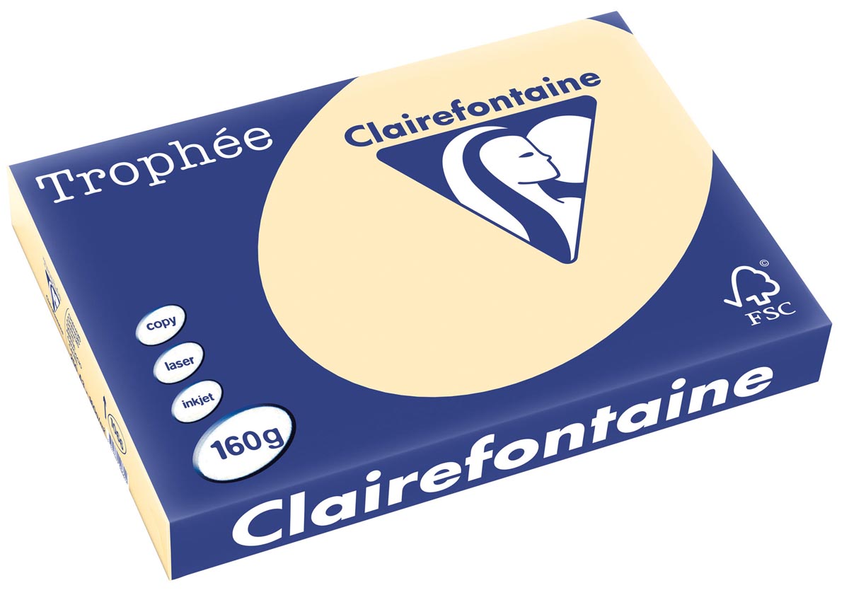 Clairefontaine Trophée Pastel, gekleurd papier, A3, 160 g, 250 vel, gems afbeelding