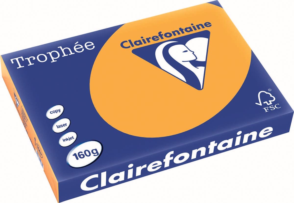 Clairefontaine Trophée Pastel, gekleurd papier, A3, 160 g, 250 vel, oranje afbeelding