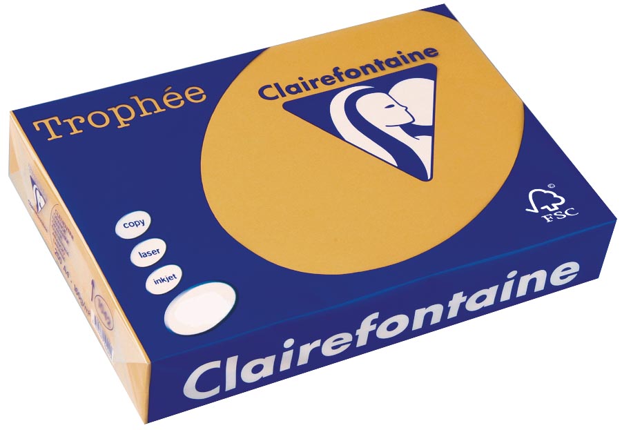 Clairefontaine Trophée Pastel, gekleurd papier, A4, 160 g, 250 vel, mokkabruin afbeelding