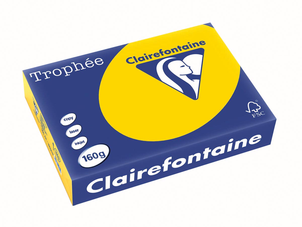 Clairefontaine TrophÃÂ©e Pastel gekleurd papier A4 160 g 250 vel goudgeel