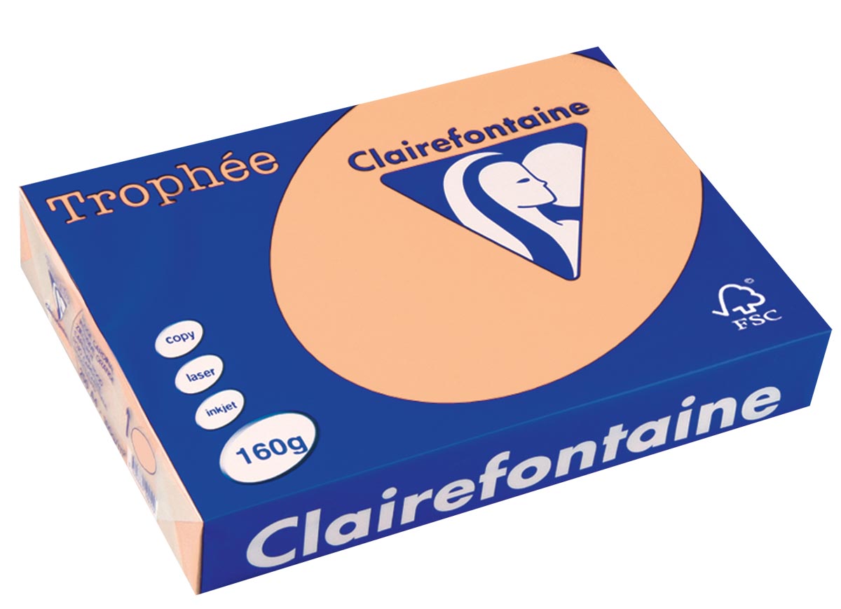Clairefontaine Trophée Pastel, gekleurd papier, A4, 160 g, 250 vel, zalm afbeelding
