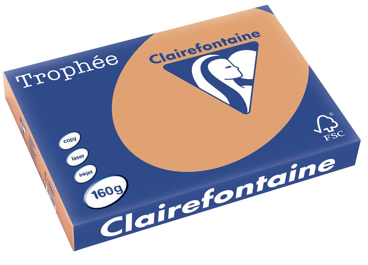 Clairefontaine Trophee Pastel A3 Mokkabruin 160 G 250 Vel huismerk kopen in de aanbieding