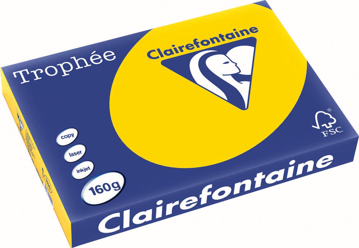 Clairefontaine Trophée Pastel, gekleurd papier, A3, 160 g, 250 vel, goudgeel afbeelding