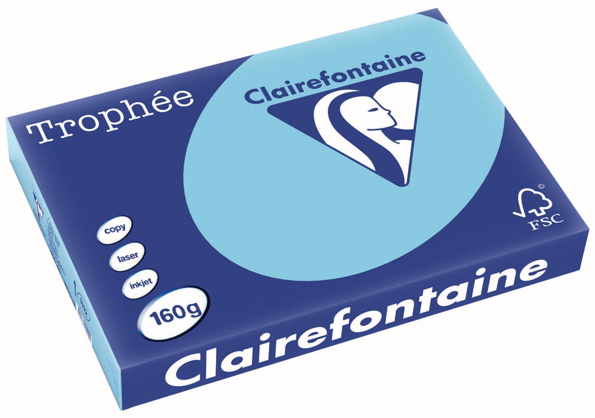 Clairefontaine Trophée Pastel, gekleurd papier, A3, 160 g, 250 vel, helblauw afbeelding