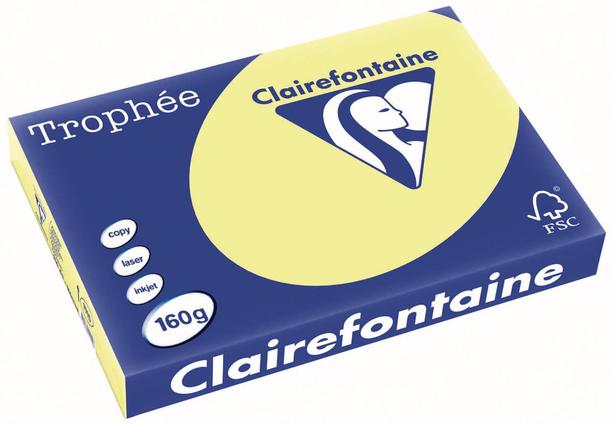 Clairefontaine Trophée Pastel, gekleurd papier, A3, 160 g, 250 vel, citroengeel afbeelding
