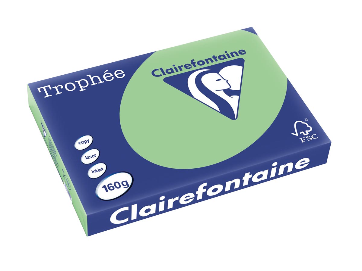 Clairefontaine Trophée Pastel, gekleurd papier, A3, 160 g, 250 vel, natuurgroen afbeelding