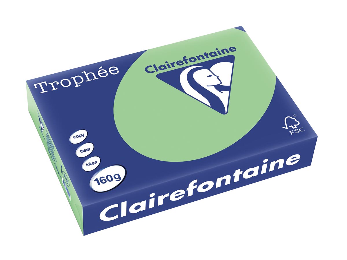 Clairefontaine Trophée Pastel, gekleurd papier, A4, 160 g, 250 vel, natuurgroen afbeelding