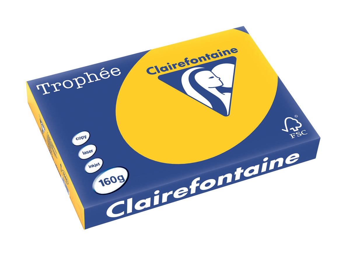 Clairefontaine Trophée Intens, gekleurd papier, A3, 160 g, 250 vel, zonnebloemgeel afbeelding
