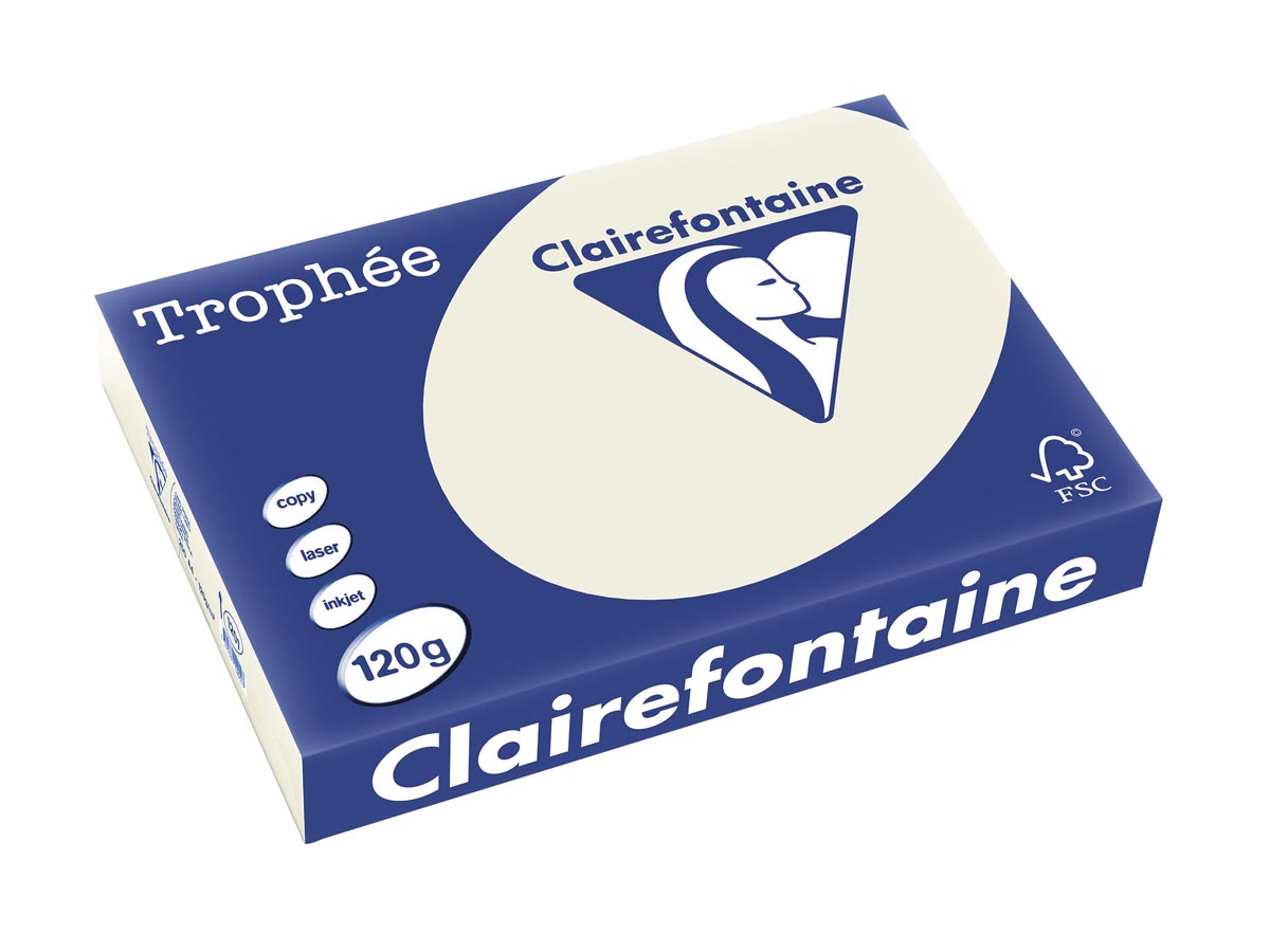 Clairefontaine Trophée Pastel gekleurd papier A4 120 g 250 vel parelgrijs