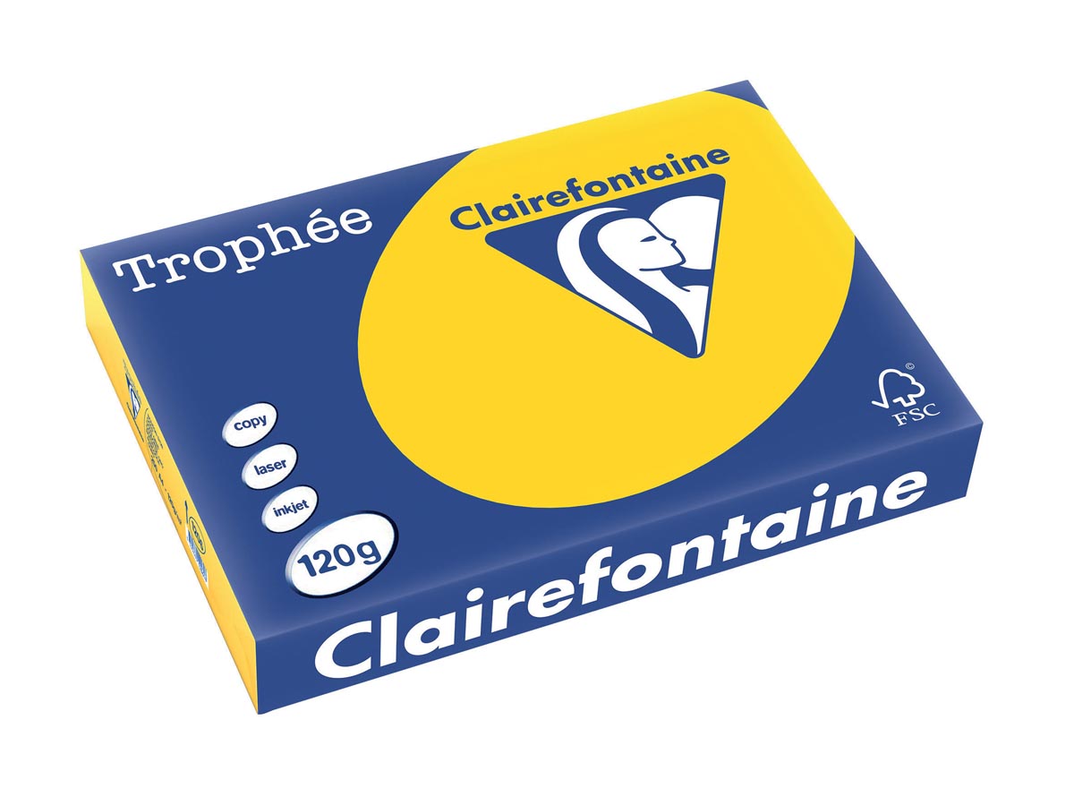 Clairefontaine Trophée Pastel A4, 120 g, 250 vel, goudgeel
