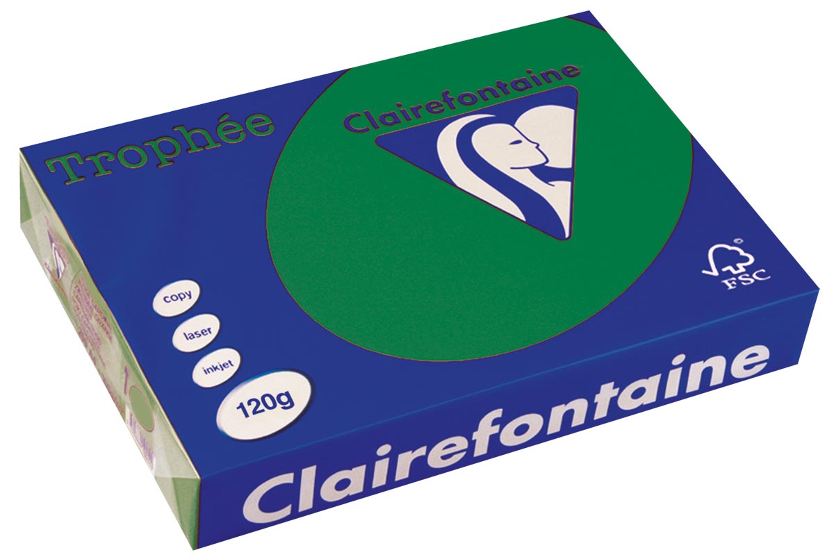 Clairefontaine Trophée Intens, gekleurd papier, A4, 120 g, 250 vel, dennengroen afbeelding
