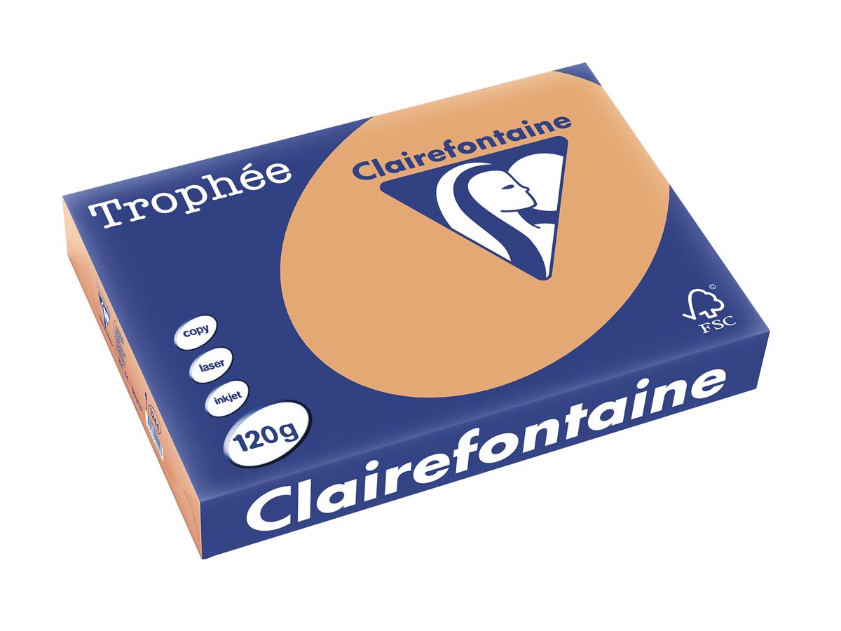 Clairefontaine TrophÃÂ©e Pastel gekleurd papier A4 120 g 250 vel mokkabruin