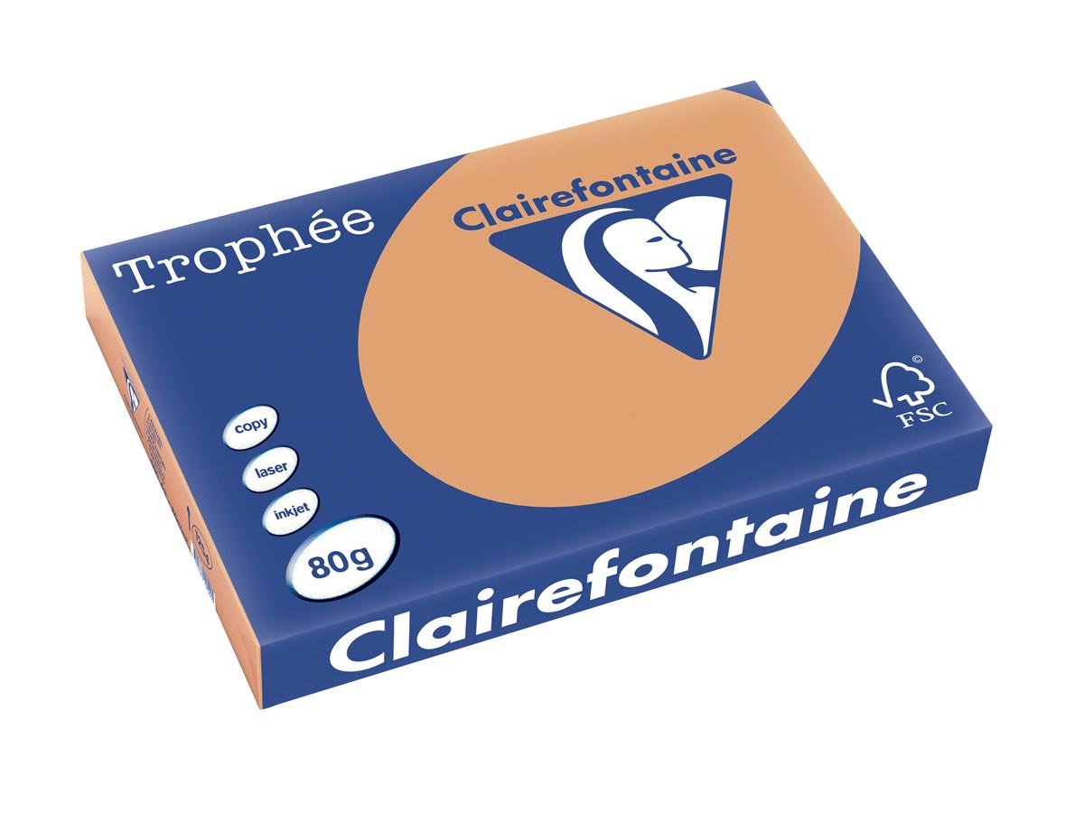 Clairefontaine Trophée Pastel A3, 80 g, 500 vel, mokkabruin