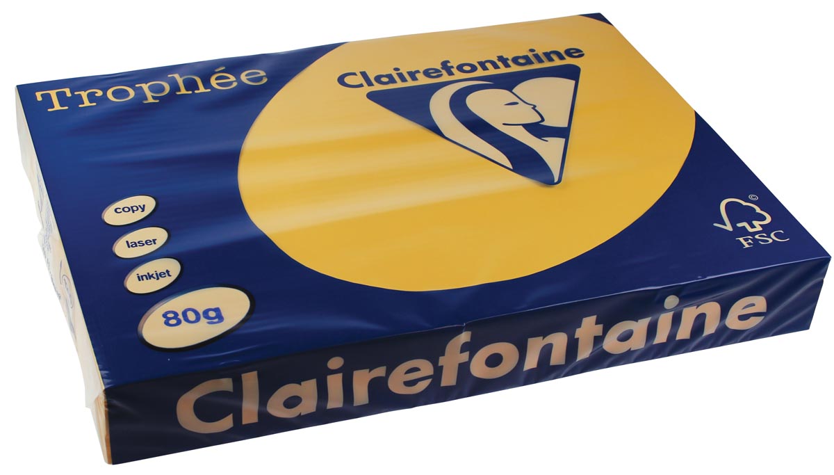 Clairefontaine Trophée Pastel, gekleurd papier, A3, 80 g, 500 vel, goudgeel afbeelding