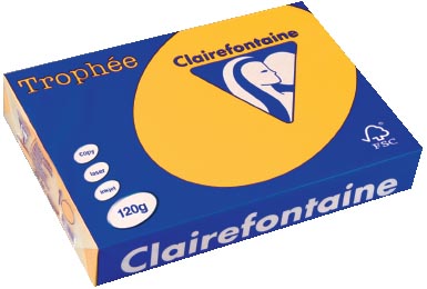 Clairefontaine Trophée Intens A4, 120 g, 250 vel, zonnebloemgeel