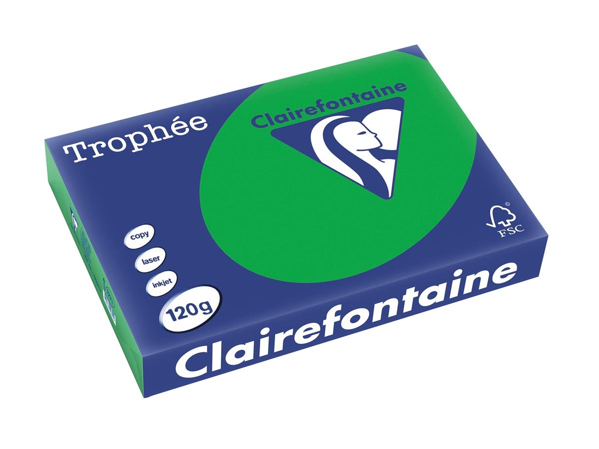 Clairefontaine Trophée Intens, gekleurd papier, A4, 120 g, 250 vel, bijartgroen afbeelding