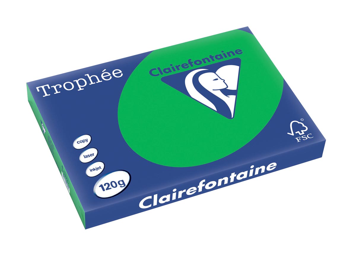 Clairefontaine Trophée Intens, gekleurd papier, A3, 120 g, 250 vel, bijartgroen afbeelding