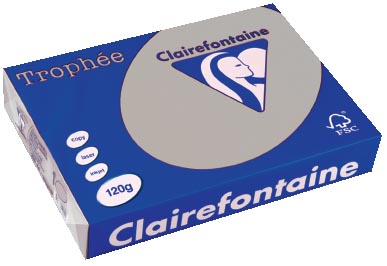 Clairefontaine Trophee Pastel A4 Lichtgrijs 120 G 250 Vel huismerk kopen in de aanbieding