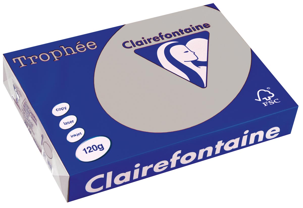 Clairefontaine TrophÃÂ©e Pastel gekleurd papier A4 120 g 250 vel lichtgrijs