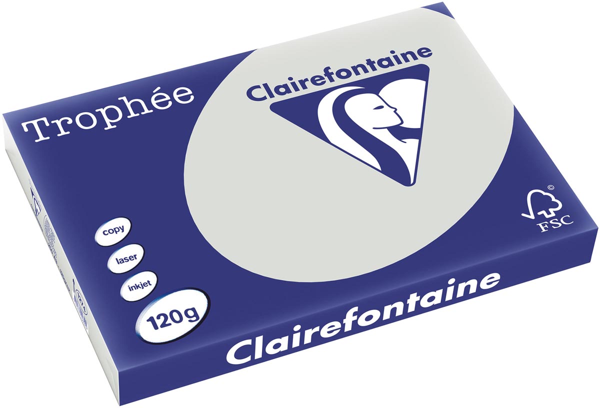Clairefontaine Trophée Pastel, gekleurd papier, A3, 120 g, 250 vel, lichtgrijs afbeelding