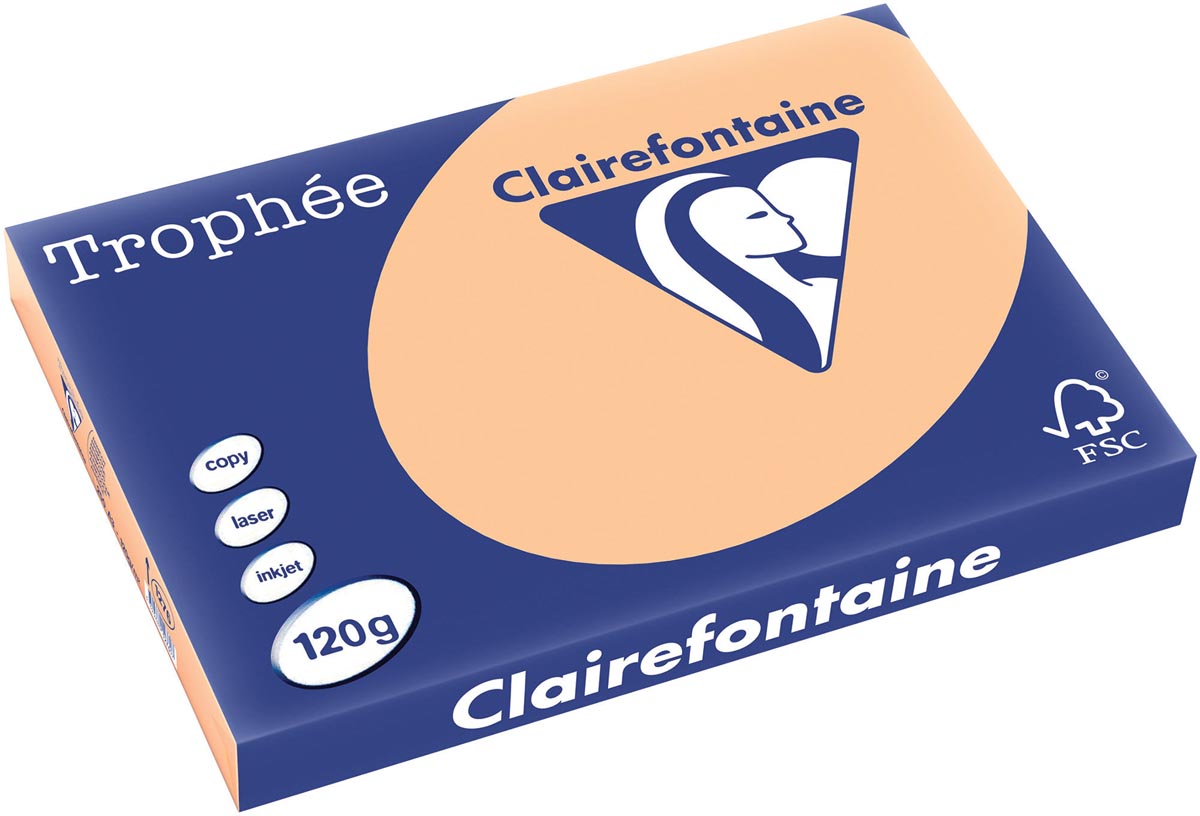 Clairefontaine Trophée Pastel, gekleurd papier, A3, 120 g, 250 vel, abrikoos afbeelding