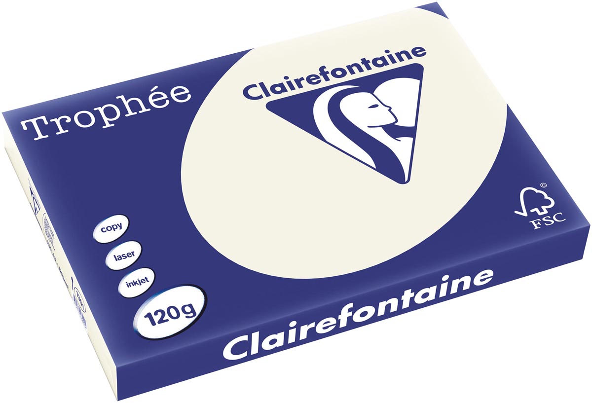 Clairefontaine Trophée Pastel, gekleurd papier, A3, 120 g, 250 vel, parelgrijs afbeelding