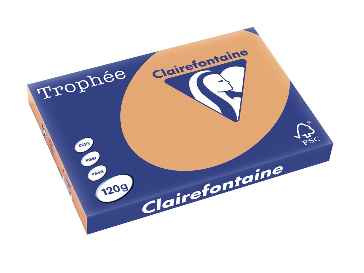 Clairefontaine Trophée Pastel, gekleurd papier, A3, 120 g, 250 vel, mokkabruin afbeelding