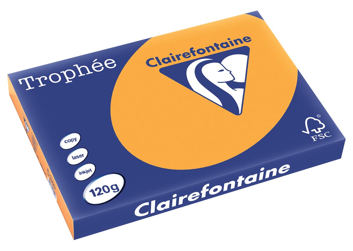 Clairefontaine Trophée Pastel, gekleurd papier, A3, 120 g, 250 vel, oranje afbeelding